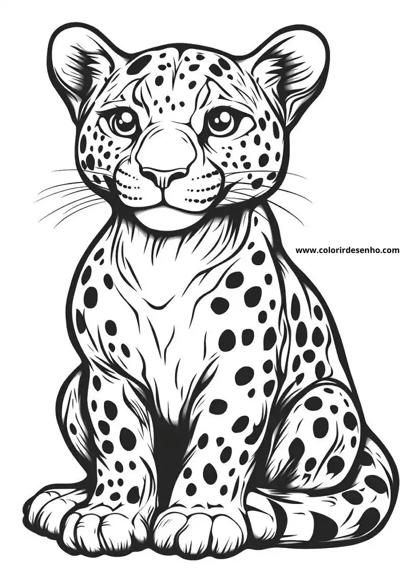 jaguar sitting upright with large spotted body and tail curled around its front legs