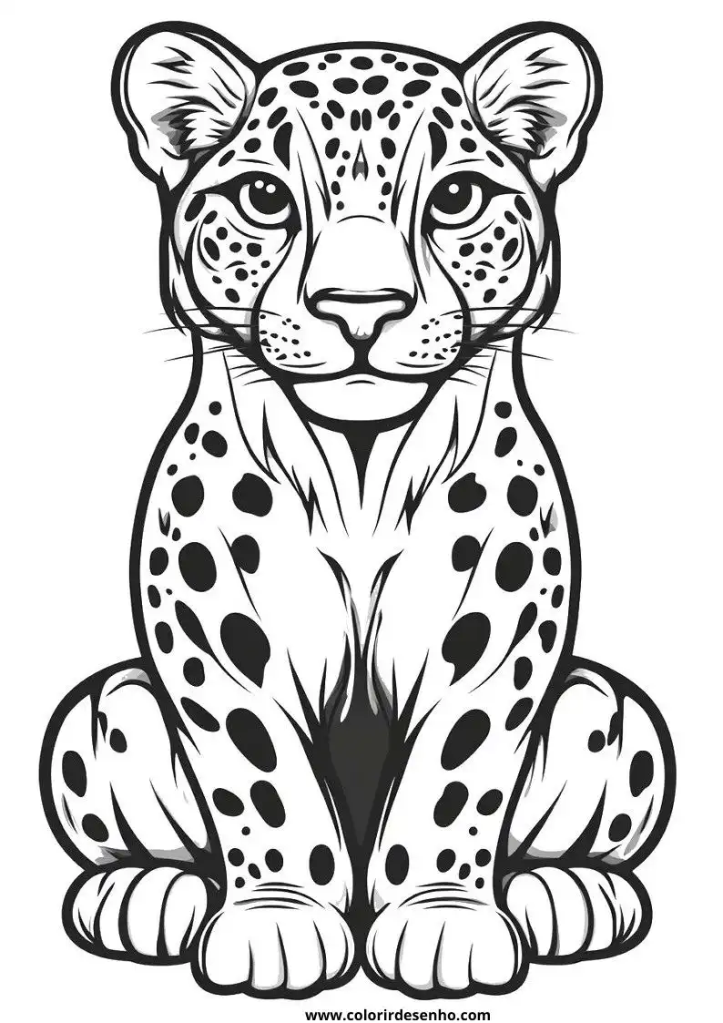 jaguar sitting upright with large spotted body looking alert