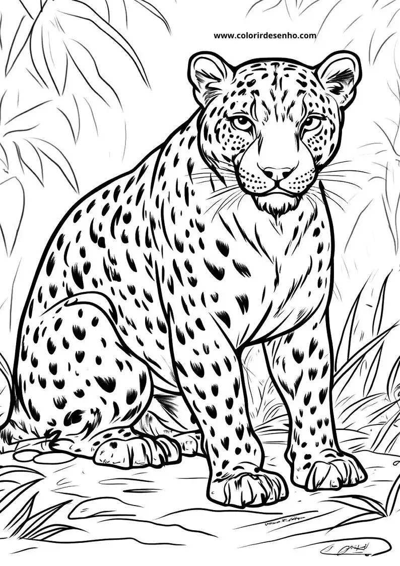 jaguar standing alert in jungle foliage looking forward