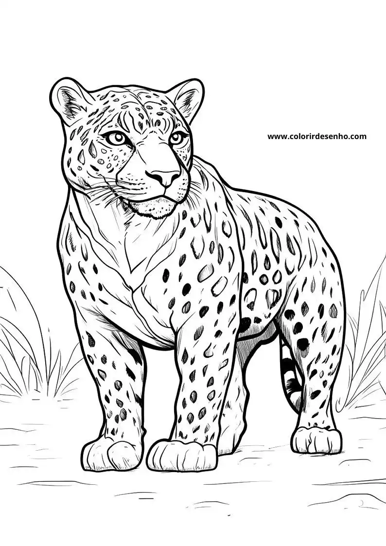 jaguar standing alert with spotted fur on grassy ground