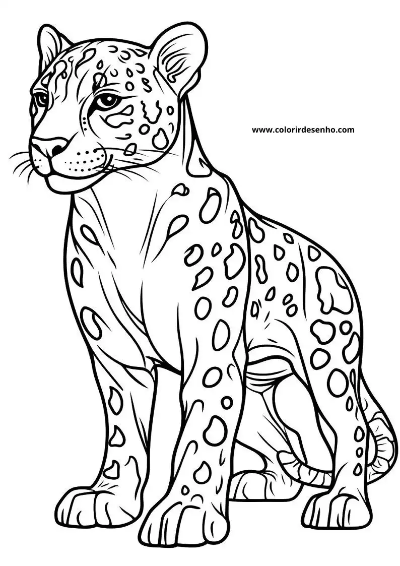 jaguar standing alertly in forest setting