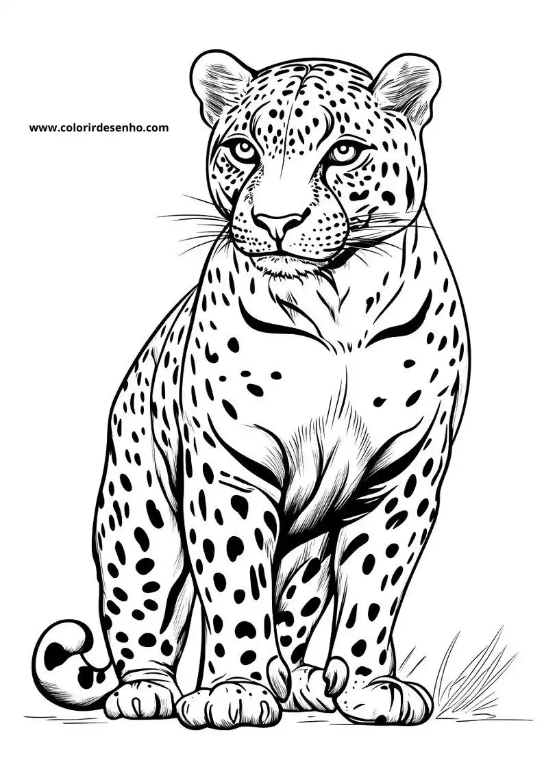 jaguar standing alertly on all fours with dark spots on body and tail curled