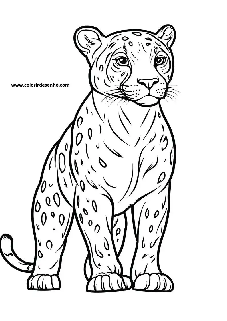 jaguar standing proudly on all fours with distinct spots on its body