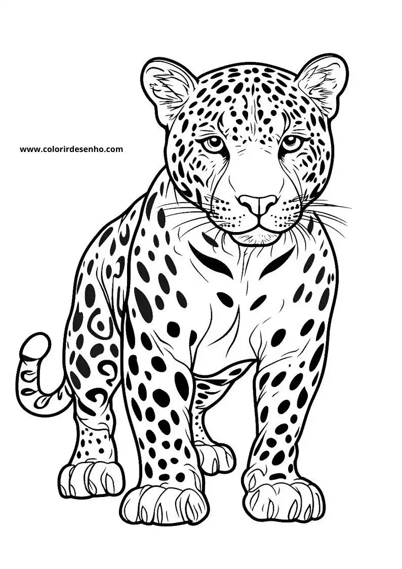 jaguar standing tall with spotted fur tail curved slightly to the left