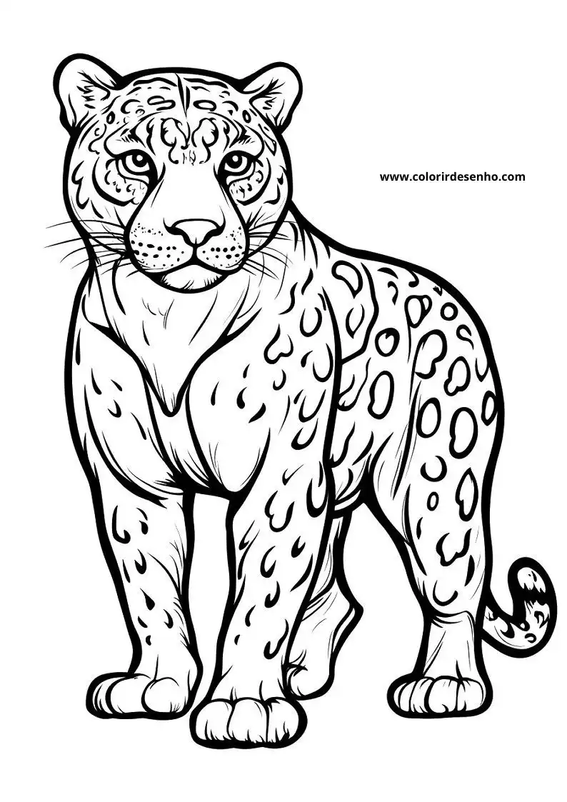jaguar standing upright facing forward detailed spots on fur tail curled around body