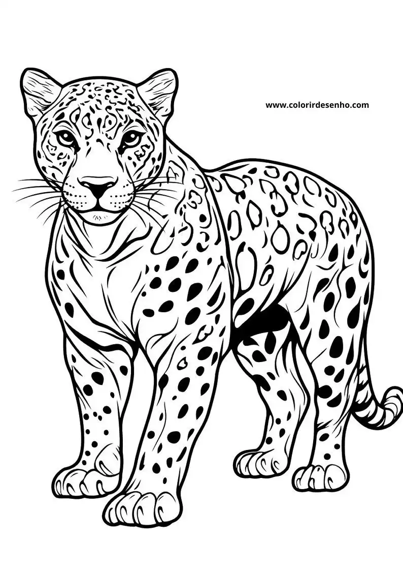 jaguar standing upright in a natural setting