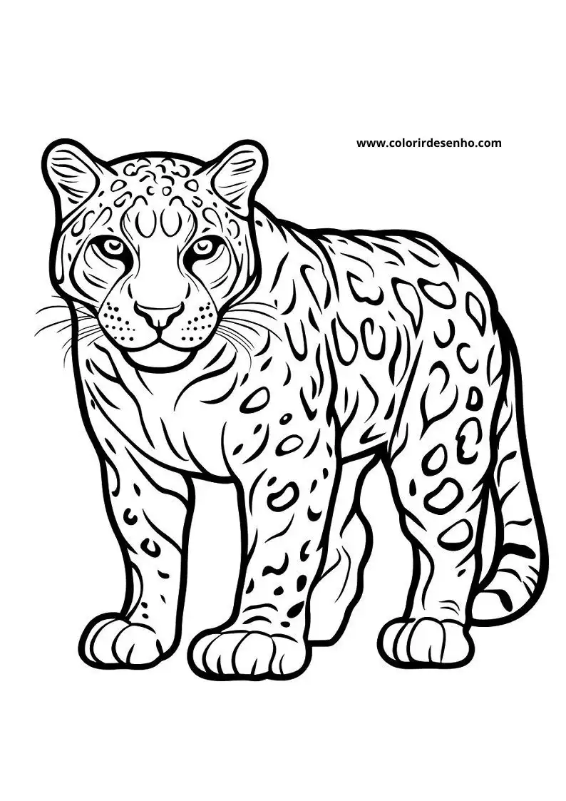 jaguar standing upright in forest setting eyes wide open spots clearly visible on body