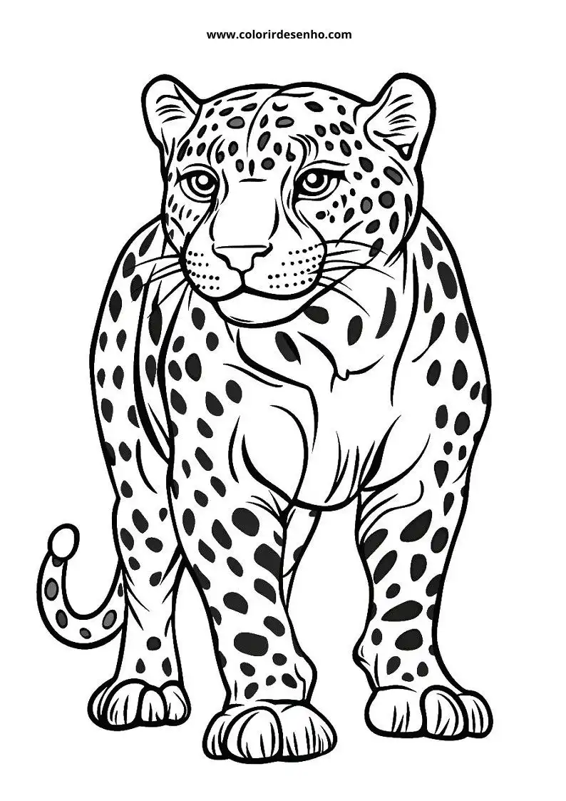 jaguar standing upright with spotted fur and large eyes tail curved slightly behind it
