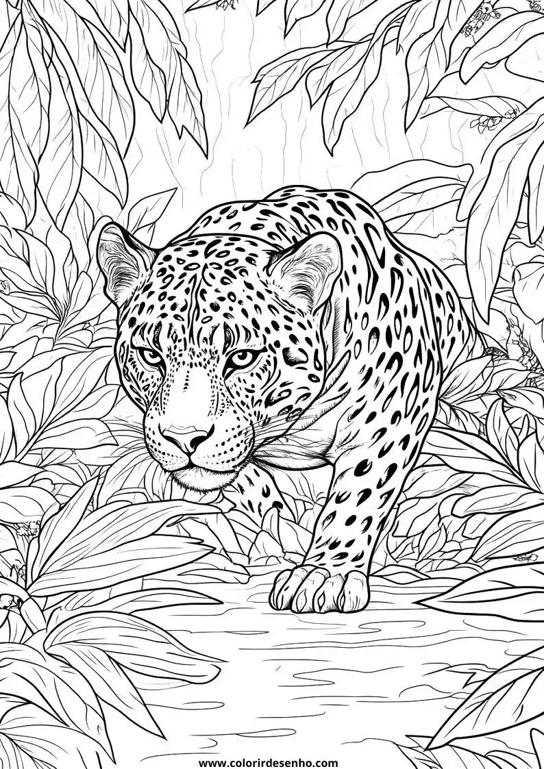 jaguar walking through jungle foliage