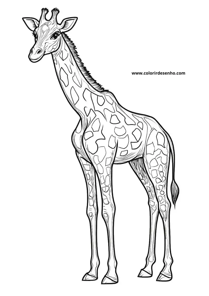 long neck giraffe standing tall against plain background