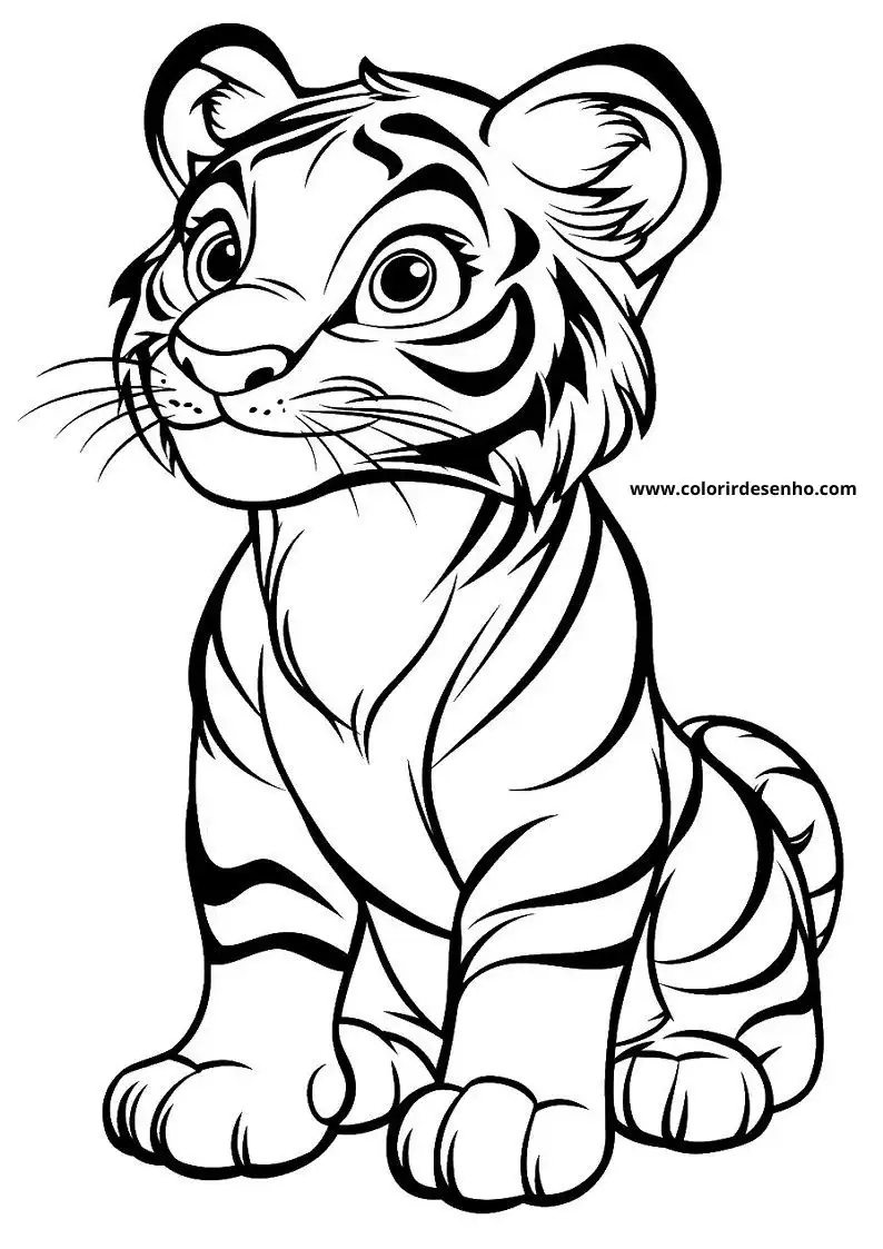 tiger cub sitting alertly with striped fur markings visible