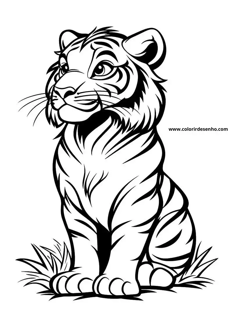 tiger cub sitting in grass alert expression stripes visible