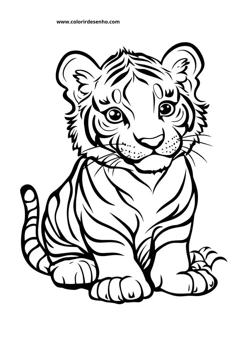 tiger cub sitting upright alert expression stripes visible