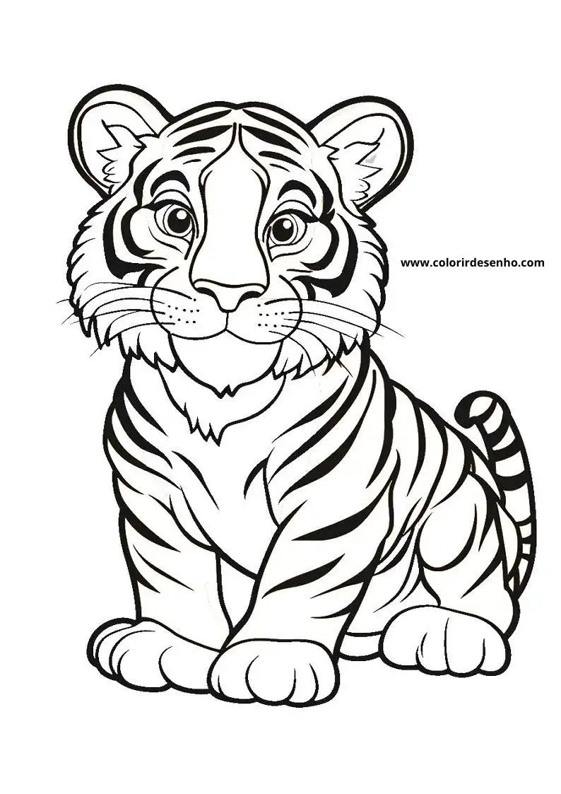 tiger cub sitting upright in grassy setting with large eyes looking forward