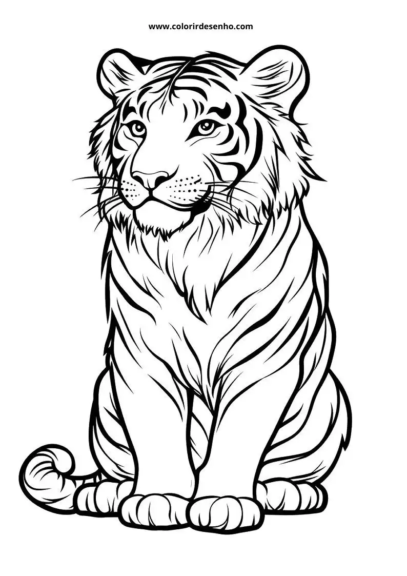 tiger sitting upright alert expression stripes visible
