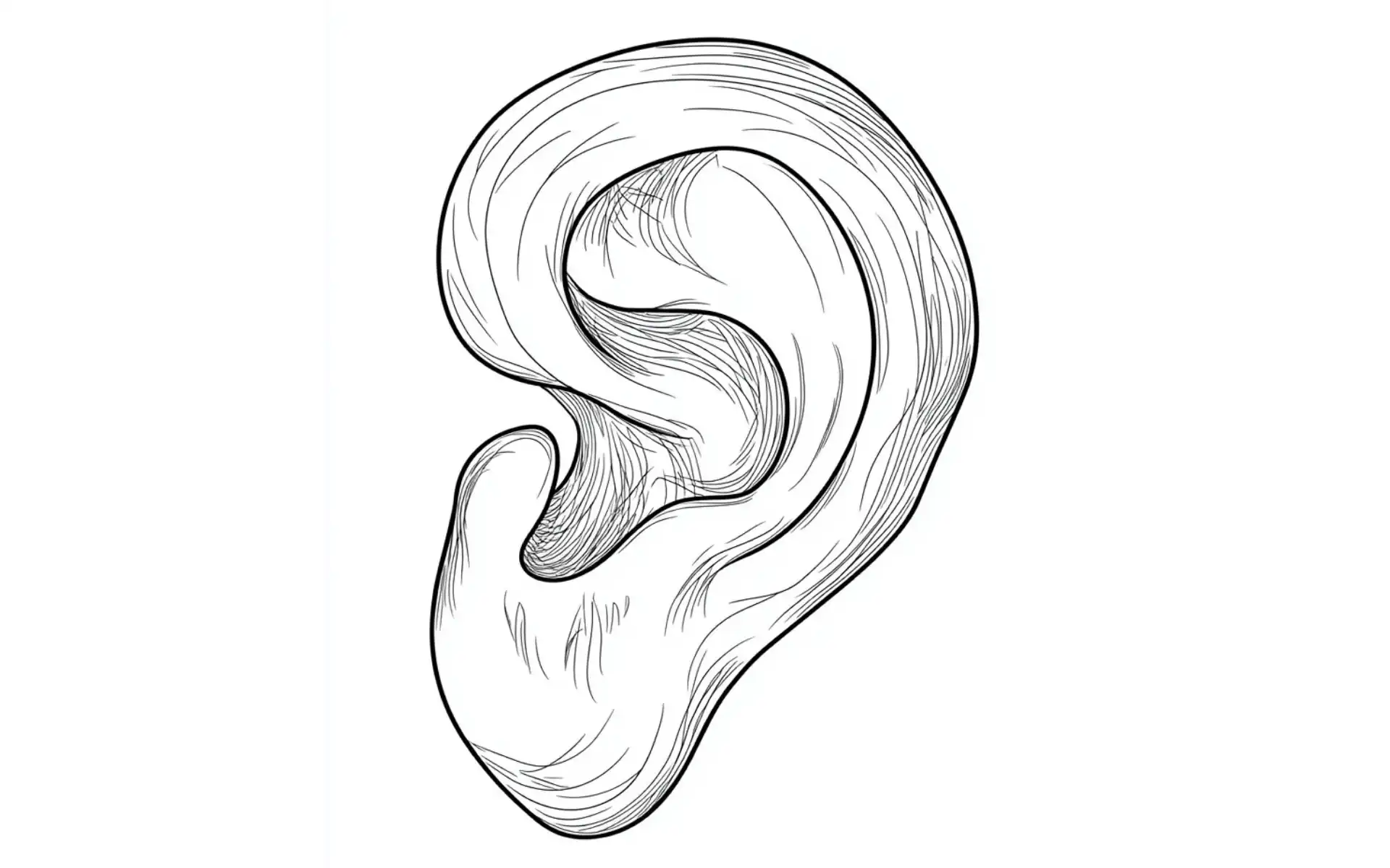 Ear Coloring Pages