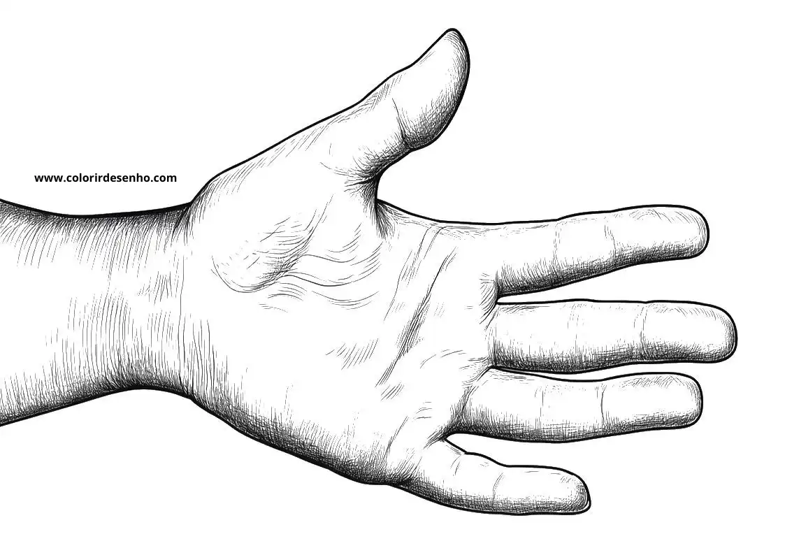 Free Printable Hand Coloring Pages in PDF 1