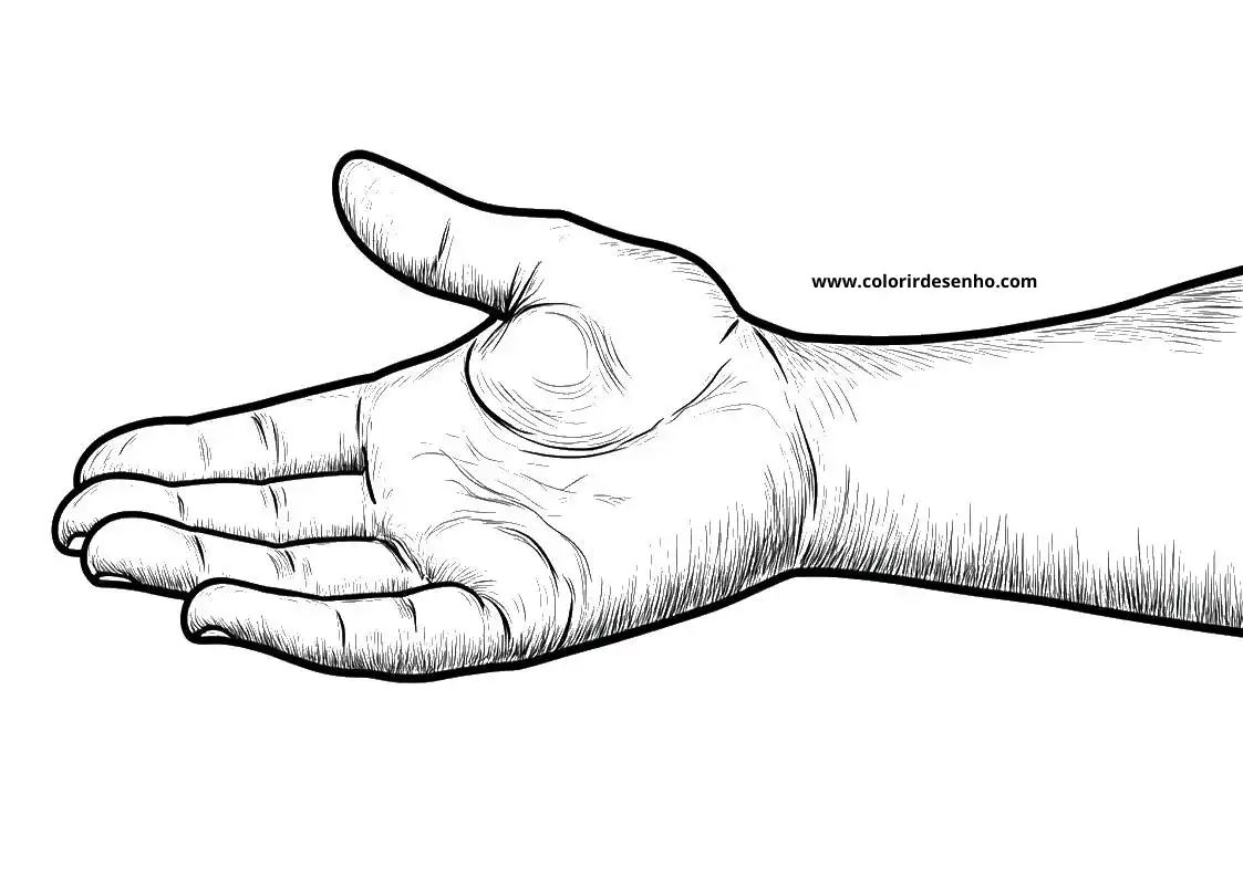 Free Printable Hand Coloring Pages in PDF 8
