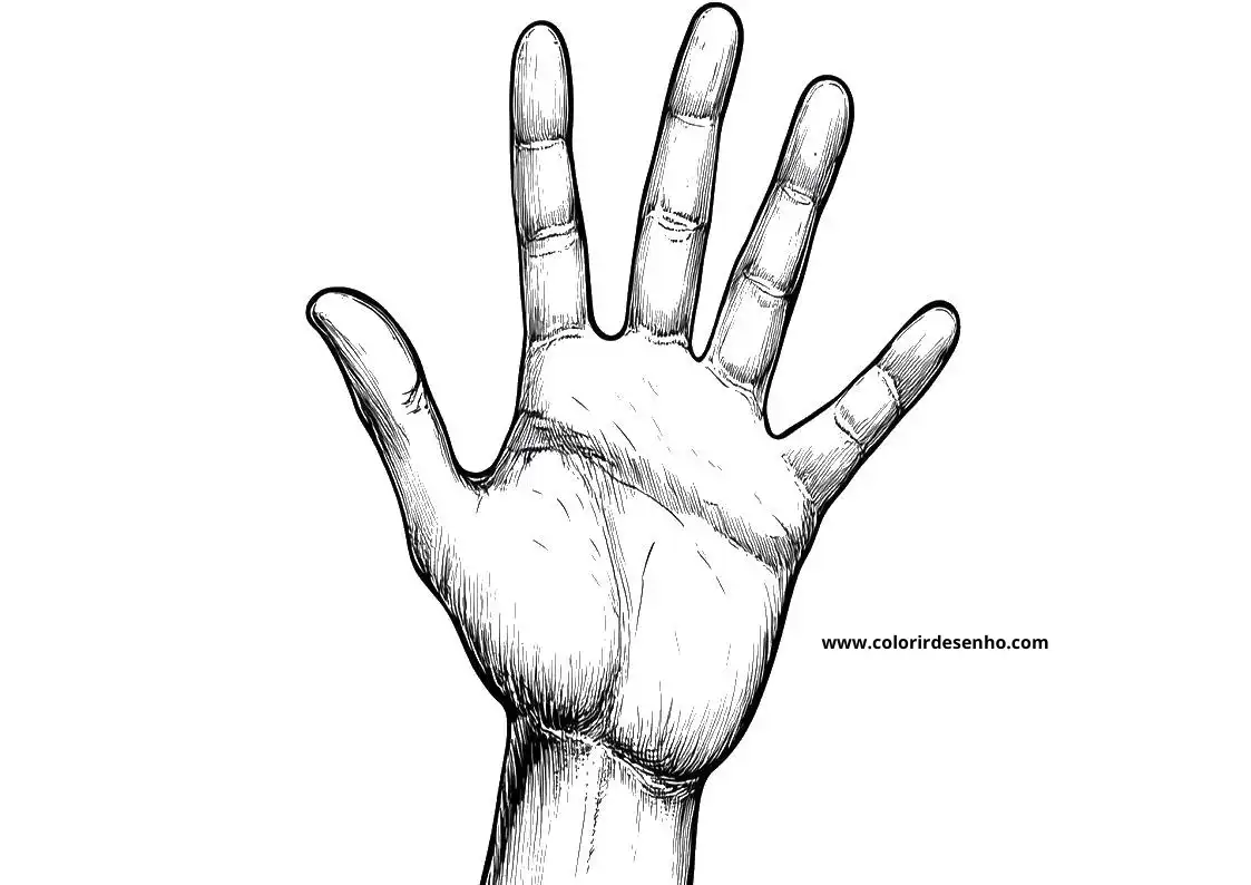 Hand Coloring Sheet 5