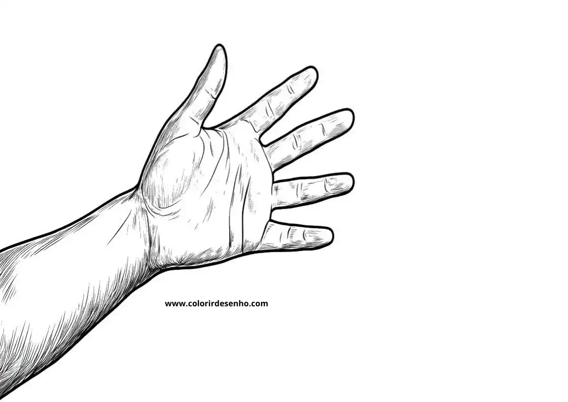 Hand Coloring Sheet 6