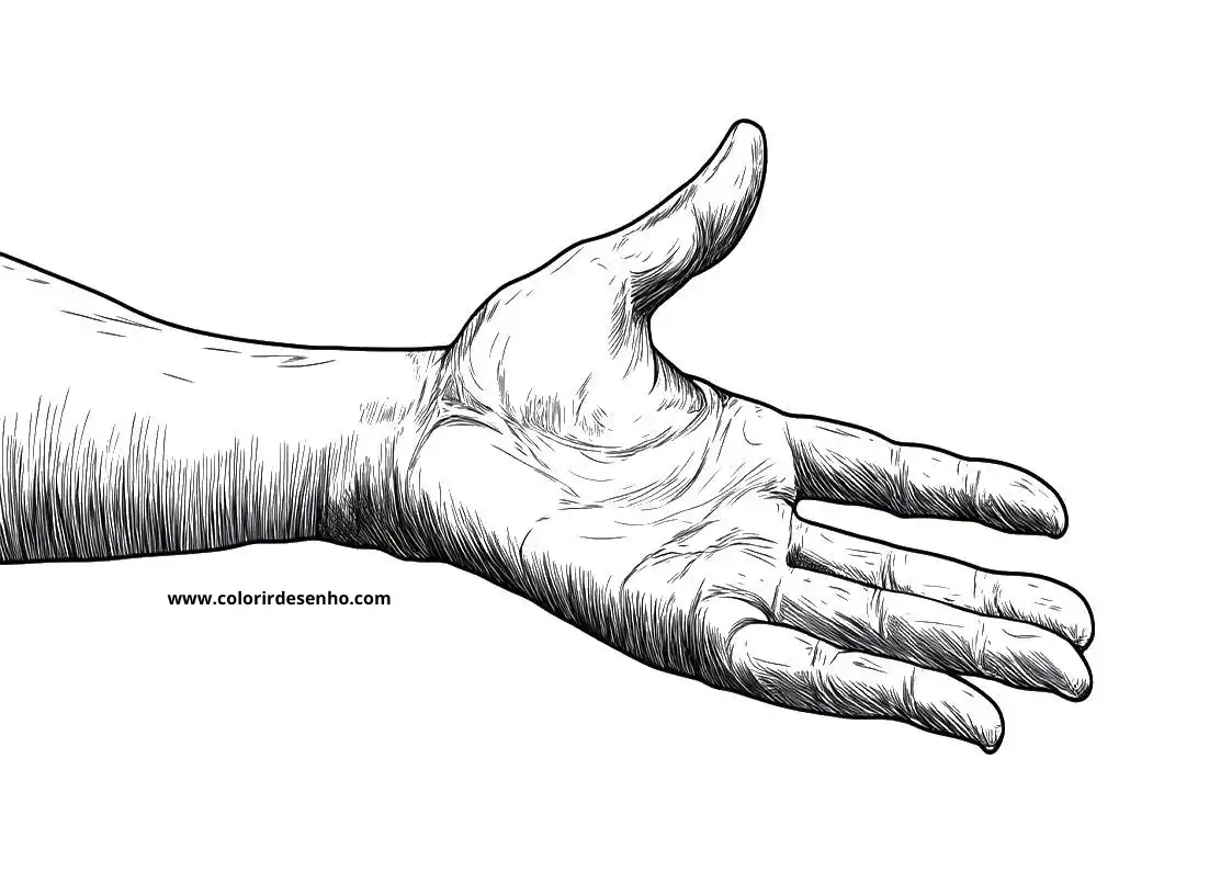 Hand Coloring Sheet 8