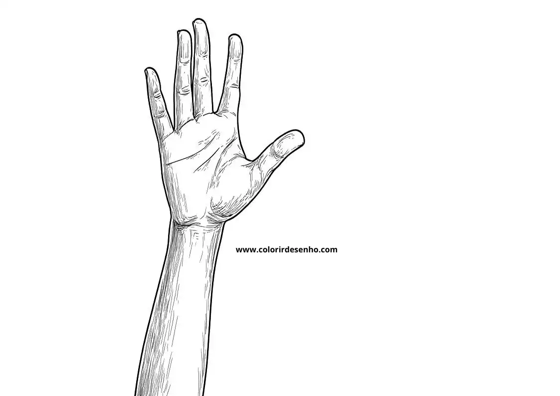 hand open hand with fingers spread up against white background