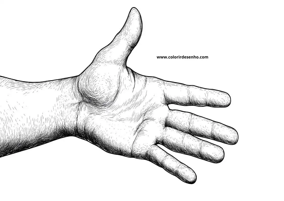 hand open palm up fingers extended skin texture visible