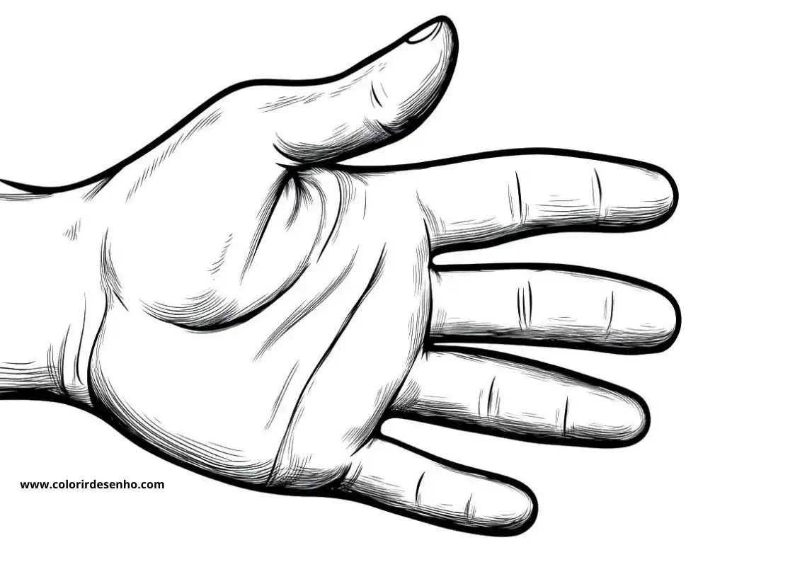 hand open palm up fingers spread out thumb extended forward
