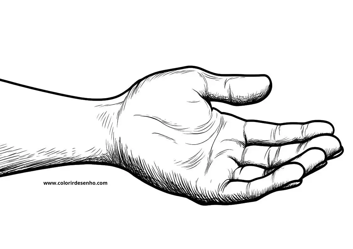 hand palm up fingers spread out wrist visible background plain