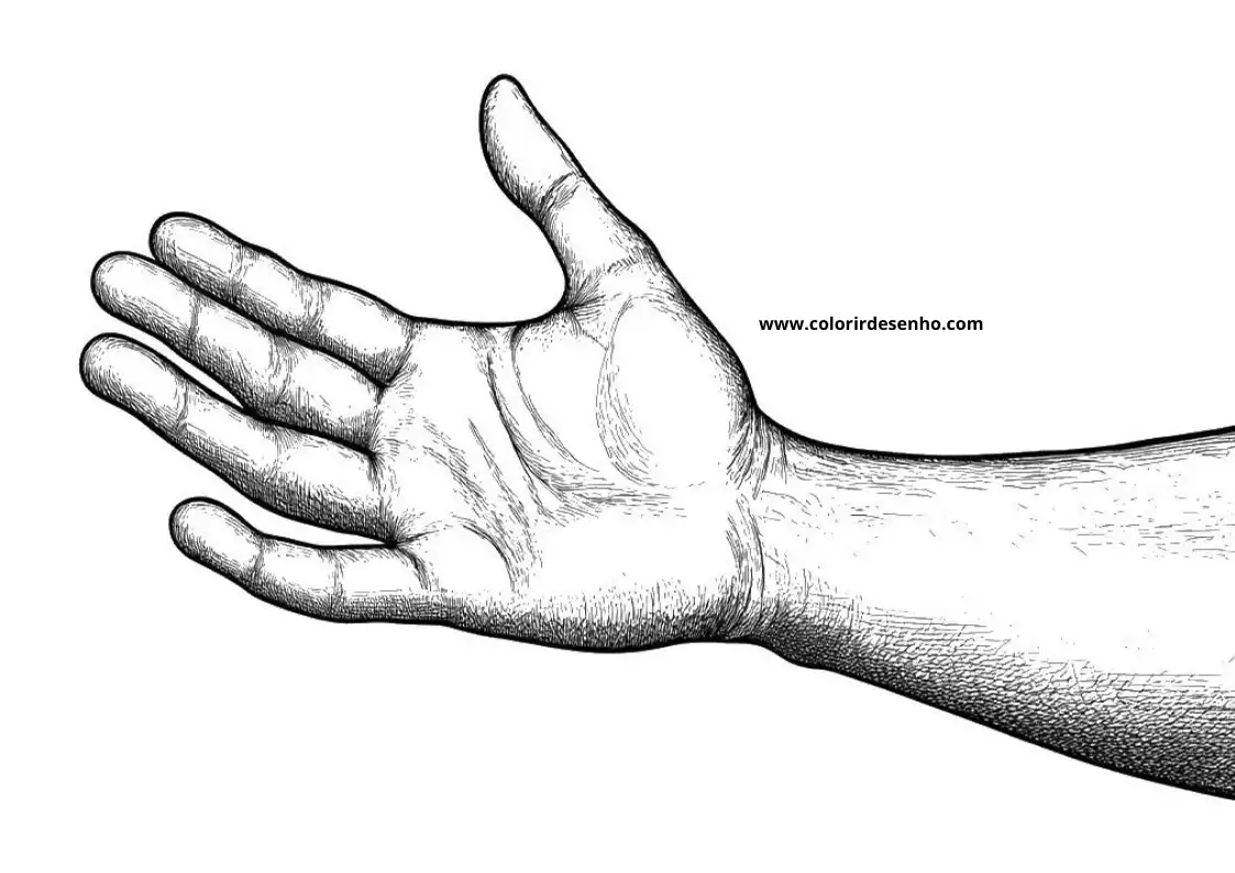 hand reaching out palm open fingers slightly curled wrist visible