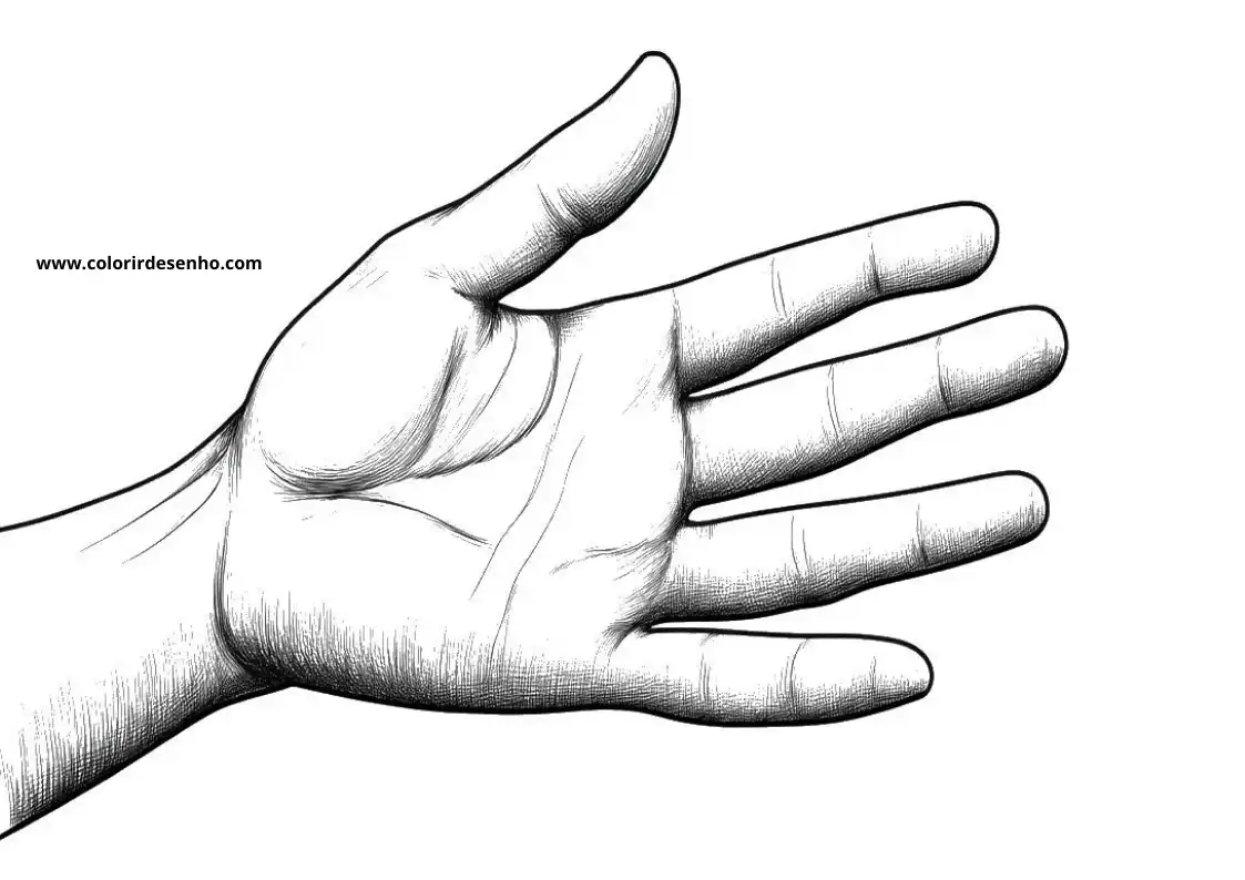 hand reaching out palm open fingers spread hand visible background simple