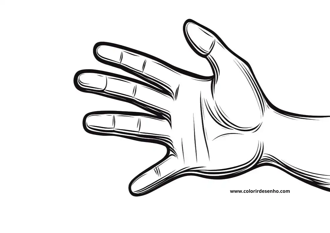 open hand with fingers spread wide palm up no background or other objects visible