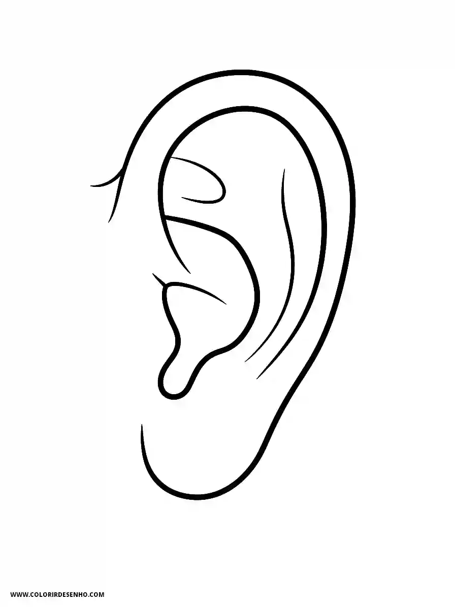 Ear Coloring Pages (26+ Free Printables) 23 Ear Line Art Style Overhead Aerial Perspective Coloring Sheet