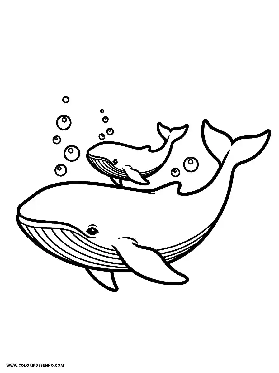 Whale Coloring Pages (139+ Free Printables) 137 whale line art simple mama whale gliding with little calf2151