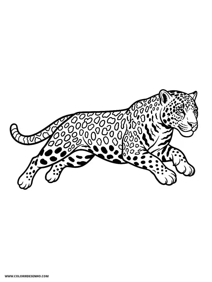 jaguar running in grassland setting