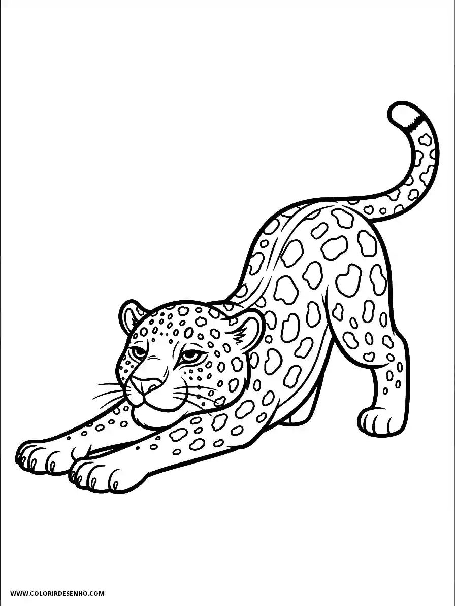 jaguar stretching in grassy field