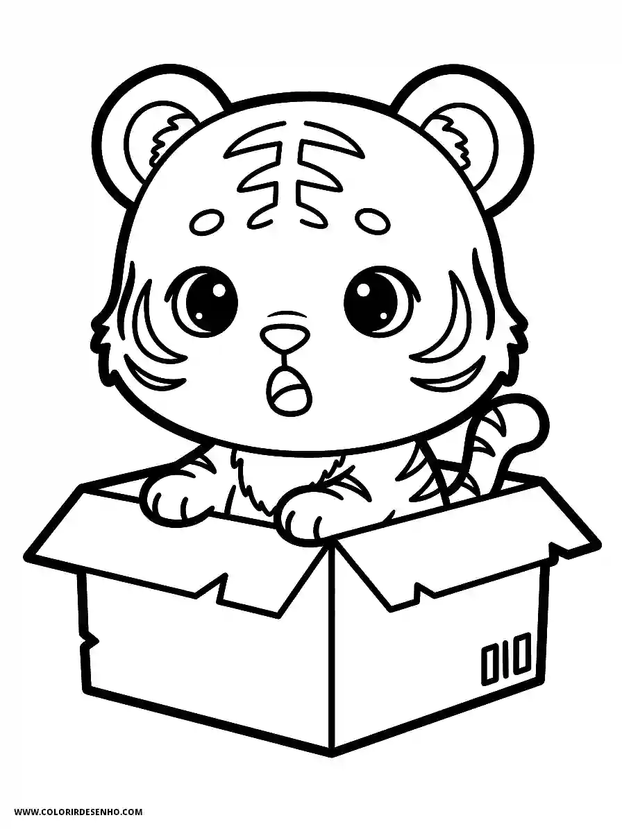 tiger cub in box
